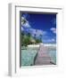 Walkway, Tahiti, French Polynesia, Oceania-Bill Bachmann-Framed Photographic Print