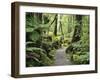 Walkway Through Swamp Forest, Ships Creek, West Coast, South Island, New Zealand, Pacific-Jochen Schlenker-Framed Photographic Print