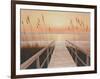 Walkway to Sea-Diane Romanello-Framed Art Print
