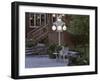 Walkway with Lamp Post-null-Framed Photographic Print
