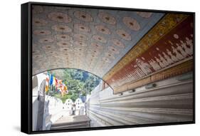 Wall and Ceiling Murals Inside the Temple of the Sacred Tooth Relic, Kandy, Sri Lanka-Charlie-Framed Stretched Canvas