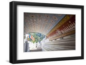 Wall and Ceiling Murals Inside the Temple of the Sacred Tooth Relic, Kandy, Sri Lanka-Charlie-Framed Photographic Print