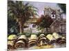 Wall at San Miguel-Clif Hadfield-Mounted Art Print