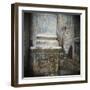 Wall Detail with Old Paint, Havana, Cuba, West Indies, Central America-Lee Frost-Framed Photographic Print