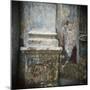 Wall Detail with Old Paint, Havana, Cuba, West Indies, Central America-Lee Frost-Mounted Photographic Print