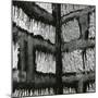 Wall, Europe, 1971-Brett Weston-Mounted Photographic Print