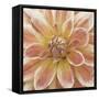 Wall Flower V-Alonzo Saunders-Framed Stretched Canvas