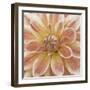 Wall Flower V-Alonzo Saunders-Framed Photographic Print