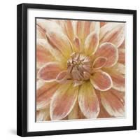 Wall Flower V-Alonzo Saunders-Framed Photographic Print