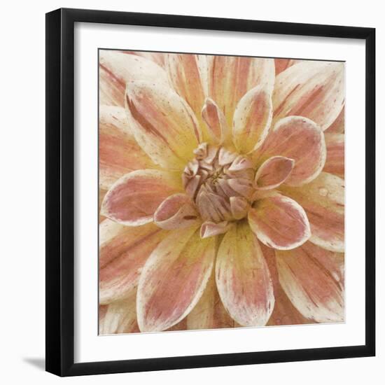 Wall Flower V-Alonzo Saunders-Framed Photographic Print