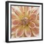 Wall Flower V-Alonzo Saunders-Framed Photographic Print