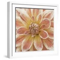 Wall Flower V-Alonzo Saunders-Framed Photographic Print