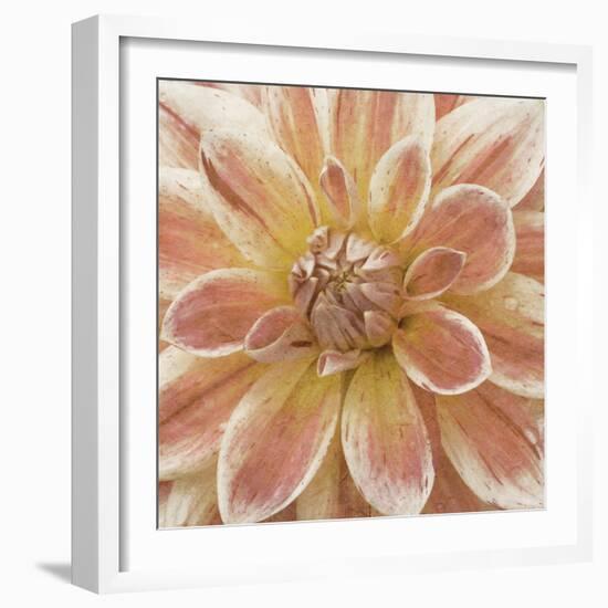 Wall Flower V-Alonzo Saunders-Framed Photographic Print