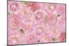 Wall Flowers Pink-Cora Niele-Mounted Giclee Print
