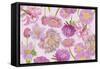 Wall Flowers Violet-Cora Niele-Framed Stretched Canvas