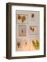 Wall, gallery, border, autumn foliage-mauritius images-Framed Photographic Print