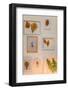 Wall, gallery, border, autumn foliage-mauritius images-Framed Photographic Print