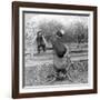 Wall I Swan, What Won't Them City Folks Do?-null-Framed Photographic Print