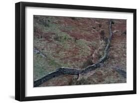 Wall in Remote Location in England-Clive Nolan-Framed Photographic Print