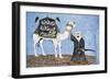 Wall Mural Depicting Pilgrimage to Mecca, Middle Egypt, Egypt-null-Framed Giclee Print