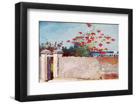 Wall, Nassau, c.1898-Winslow Homer-Framed Premium Giclee Print