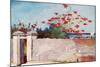 Wall, Nassau, c.1898-Winslow Homer-Mounted Premium Giclee Print