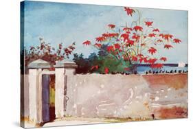 Wall, Nassau, c.1898-Winslow Homer-Stretched Canvas