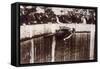 Wall of Death, 1933-null-Framed Stretched Canvas