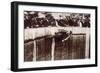 Wall of Death, 1933-null-Framed Photographic Print