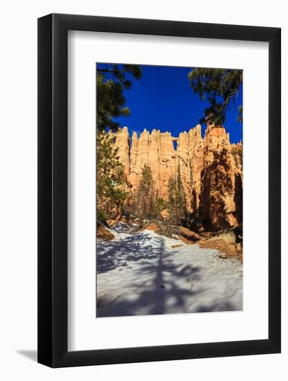 Wall of Windows from Base in Early Morning Sun, Snow and Pine Trees, Peekaboo Loop Trail-Eleanor Scriven-Framed Photographic Print