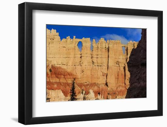 Wall of Windows Lit by Early Morning Sun, Silhouetted Rock, Peekaboo Loop Trail-Eleanor Scriven-Framed Photographic Print