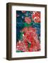 Wall Paint-Steven Maxx-Framed Photographic Print