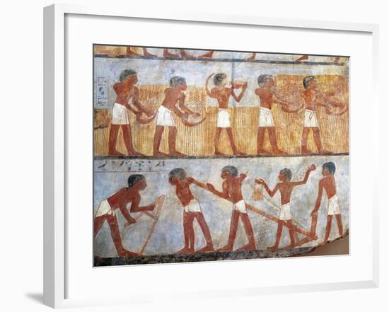 Wall Painting Depicting Sowing and Harvesting Scene, from the Tomb of Onsu at West Thebes, Close-Up-null-Framed Giclee Print