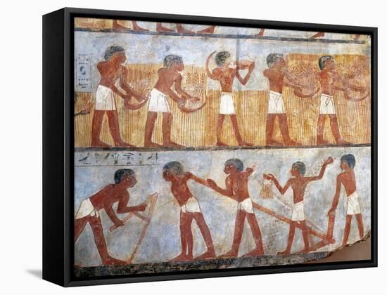 Wall Painting Depicting Sowing and Harvesting Scene, from the Tomb of Onsu at West Thebes, Close-Up-null-Framed Stretched Canvas