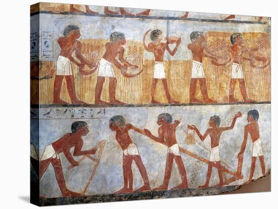 Wall Painting Depicting Sowing and Harvesting Scene, from the Tomb of Onsu at West Thebes, Close-Up-null-Stretched Canvas