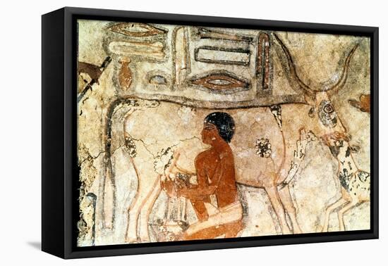 Wall Painting from the Tomb of Methethi, Saqqara, Ancient Egypt, Old Kingdom, C2371-2350 Bc-null-Framed Stretched Canvas