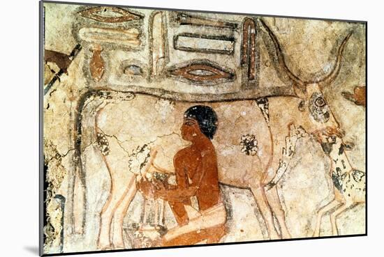 Wall Painting from the Tomb of Methethi, Saqqara, Ancient Egypt, Old Kingdom, C2371-2350 Bc-null-Mounted Giclee Print