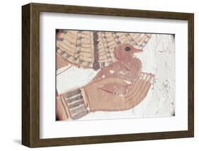 Wall Painting of Bird in Hand in Tomb of Nakht, Valley of Nobles, UNESCO World Heritage Site-Walter Rawlings-Framed Photographic Print