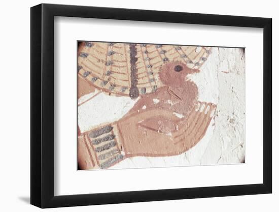 Wall Painting of Bird in Hand in Tomb of Nakht, Valley of Nobles, UNESCO World Heritage Site-Walter Rawlings-Framed Photographic Print