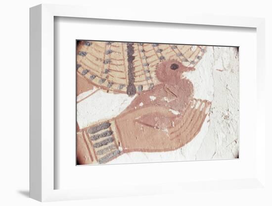 Wall Painting of Bird in Hand in Tomb of Nakht, Valley of Nobles, UNESCO World Heritage Site-Walter Rawlings-Framed Photographic Print