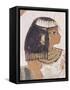 Wall Painting of Daughter of Nakht from Hunt Scene in the Tomb of Nakht-Walter Rawlings-Framed Stretched Canvas