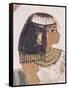 Wall Painting of Daughter of Nakht from Hunt Scene in the Tomb of Nakht-Walter Rawlings-Framed Stretched Canvas