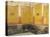 Wall Paintings of House of Vettii, Pompeii, Campania-null-Stretched Canvas