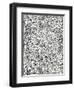 Wall-Paper-W Jackson-Framed Giclee Print