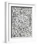 Wall-Paper-W Jackson-Framed Giclee Print