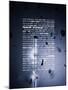 Wall Signs - New York - Urban Blue Light Version-Philippe Hugonnard-Mounted Art Print