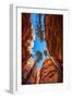 Wall Street, Bryce Canyon National Park, Utah-Michael DeFreitas-Framed Photographic Print