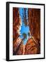 Wall Street, Bryce Canyon National Park, Utah-Michael DeFreitas-Framed Photographic Print