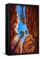 Wall Street, Bryce Canyon National Park, Utah-Michael DeFreitas-Framed Stretched Canvas