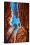 Wall Street, Bryce Canyon National Park, Utah-Michael DeFreitas-Stretched Canvas